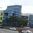 龜尾大學 龜尾大學