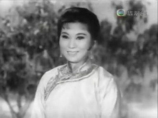 南北雙雄(中國1965年凌雲執導的電影) 南北雙雄(中國1965年凌雲執導的電影)