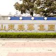 朱陳北社區 朱陳北社區