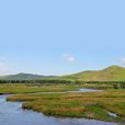 洮兒河 洮兒河