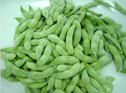 北豆33 北豆33