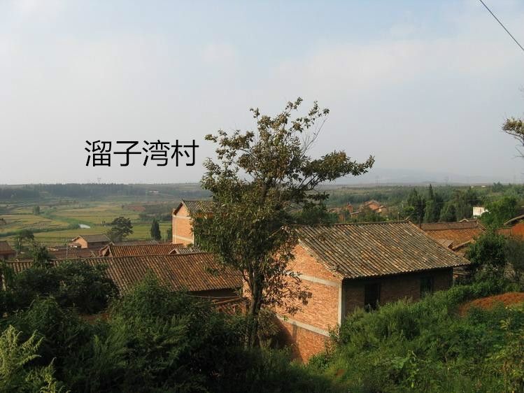 溜子灣村 溜子灣村