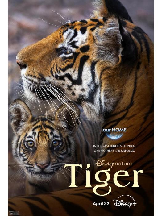 Tiger(2024年馬克·林菲爾德執導的電影) Tiger(2024年馬克·林菲爾德執導的電影)