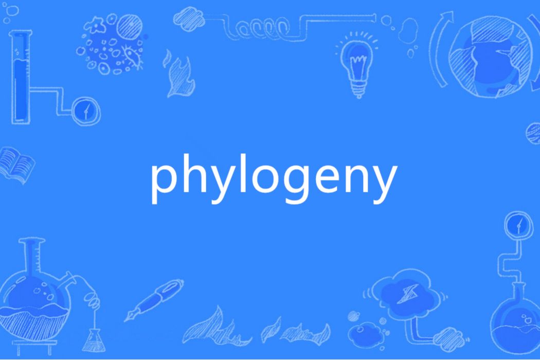 phylogeny(英語單詞)