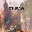 寶貝御六夫 寶貝御六夫