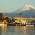 津市(日本城市) 津市(日本城市)