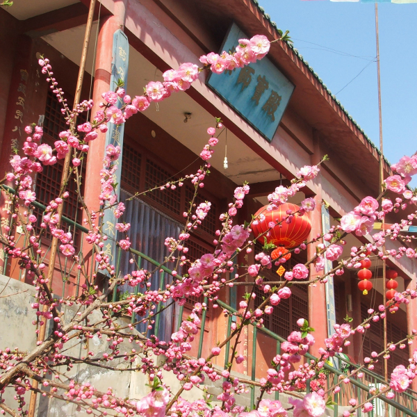 淨業寺