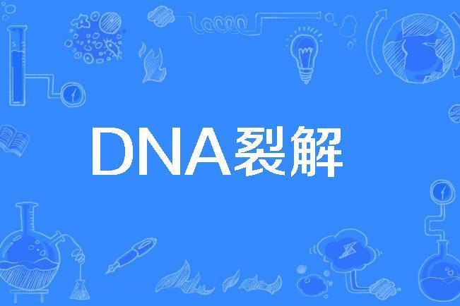 DNA裂解 DNA裂解