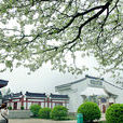 八公山風景區 八公山風景區