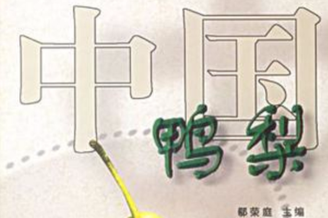 中國鴨梨 中國鴨梨