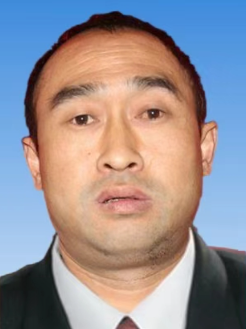冉光明(重慶市酉陽土家族苗族自治縣黑水鎮副鎮長) 冉光明(重慶市酉陽土家族苗族自治縣黑水鎮副鎮長)