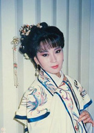 九月鷹飛(1986年香港亞視版劉松仁、魏秋樺主演電視劇)