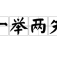 一舉兩失