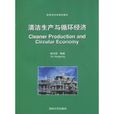 清潔生產與循環經濟(清華大學出版社出版圖書)