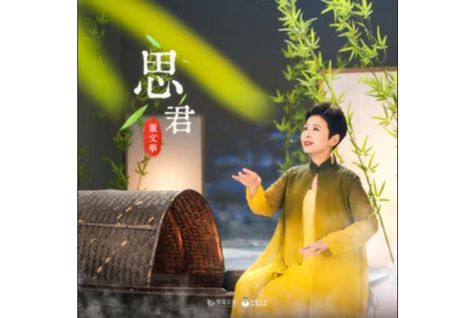 思君(董文華演唱的歌曲) 思君(董文華演唱的歌曲)