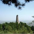 麻衣寺景區 麻衣寺景區