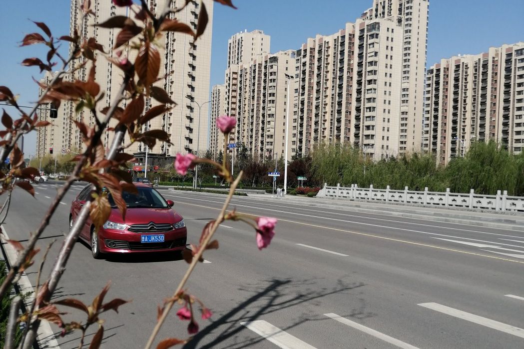 臘山河路 臘山河路