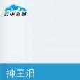 神王淚 神王淚