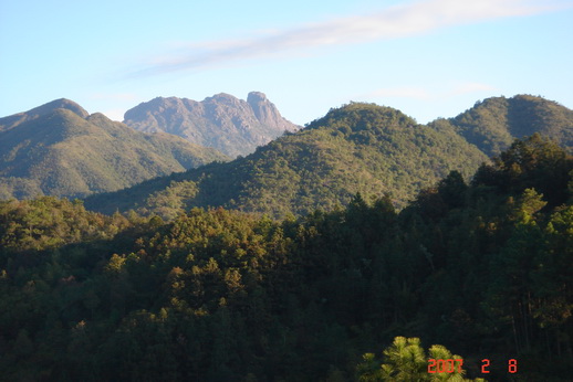 廣東潮安鳳凰山省級自然保護區