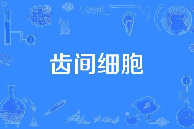 齒間細胞