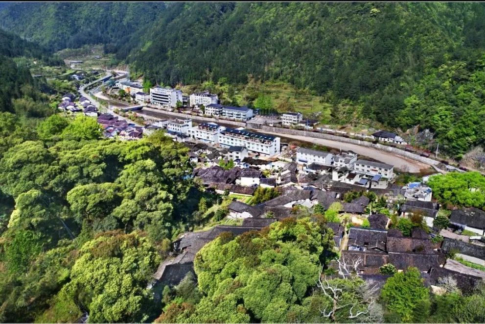 毛垟村 毛垟村