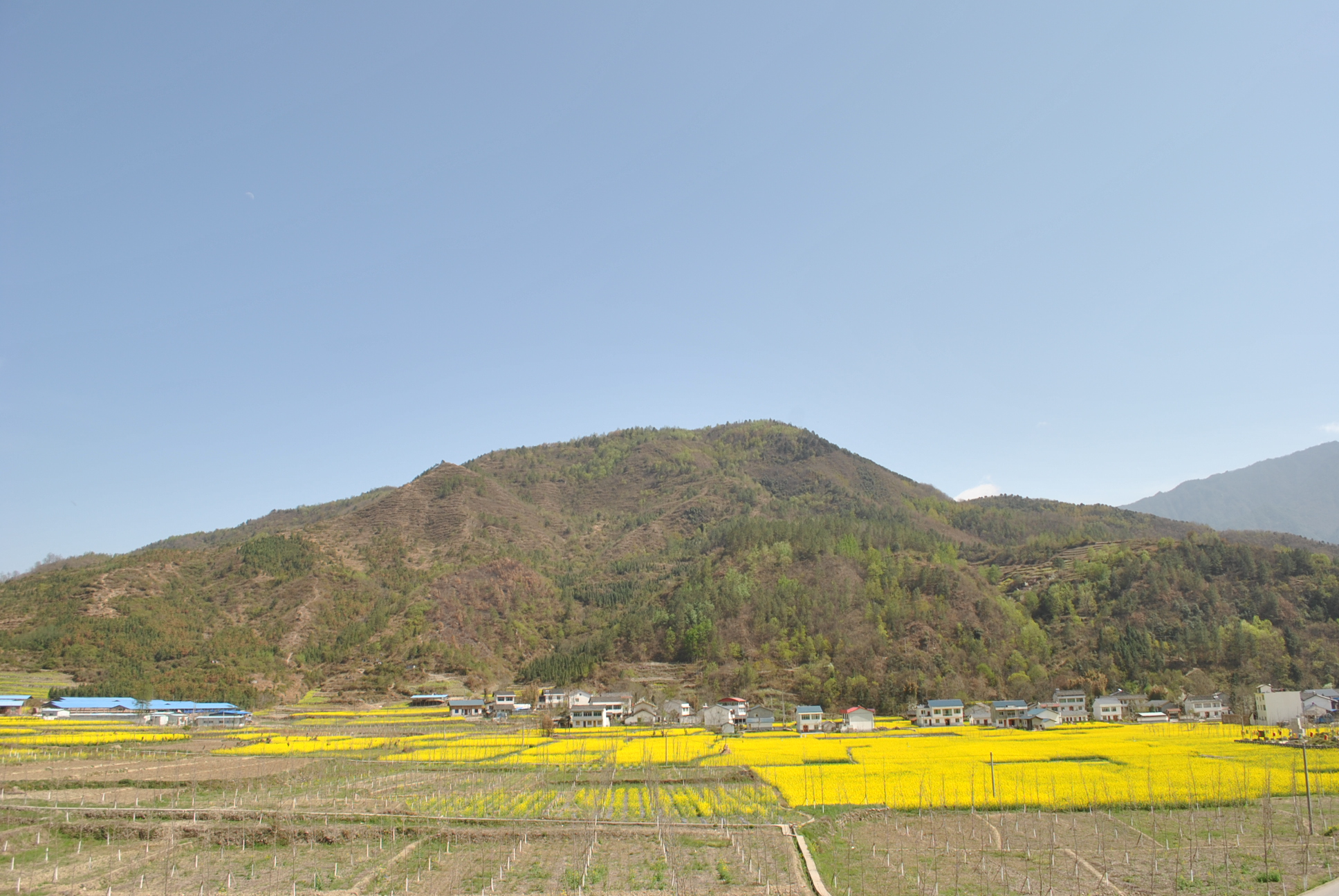 青溪鎮(四川廣元市青川縣下轄鎮)