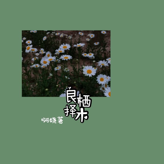 良棲擇木 良棲擇木