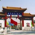 葡萄大觀園 葡萄大觀園