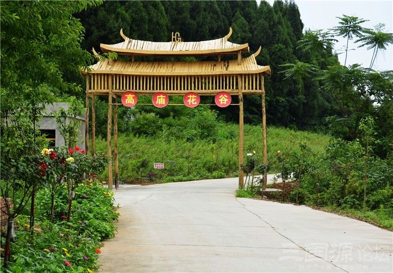 高廟花谷 高廟花谷