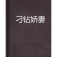刁鑽嬌妻 刁鑽嬌妻