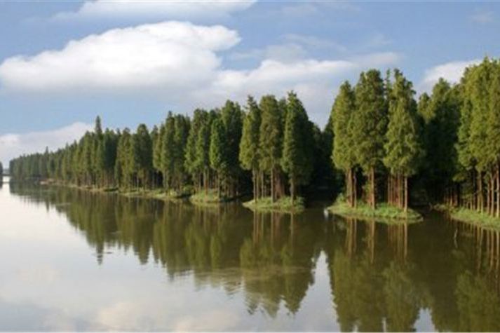 李中河 李中河