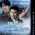 相思樹(2008年吳秀波主演的電視劇) 相思樹(2008年吳秀波主演的電視劇)