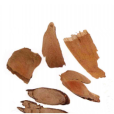 五指毛桃(巴腩紅弱) 五指毛桃(巴腩紅弱)