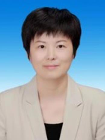 王碩(河南省商丘市民權縣人民政府副縣長) 王碩(河南省商丘市民權縣人民政府副縣長)