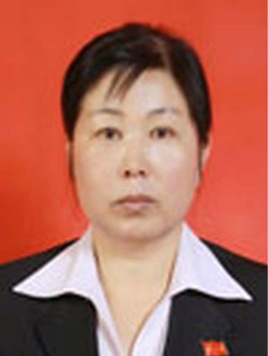 劉靜(陝西省鹹陽市長武縣衛生健康局黨委委員、縣計生協會秘書長)