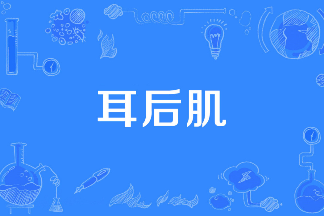 耳後肌 耳後肌