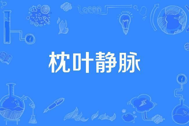 枕葉靜脈 枕葉靜脈