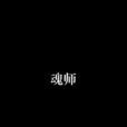 魂師(遠方天空著小說職業) 魂師(遠方天空著小說職業)