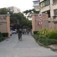 臨沂八村 臨沂八村