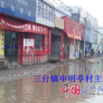 申明亭村(河北保定市安新縣三台鎮下轄村) 申明亭村(河北保定市安新縣三台鎮下轄村)