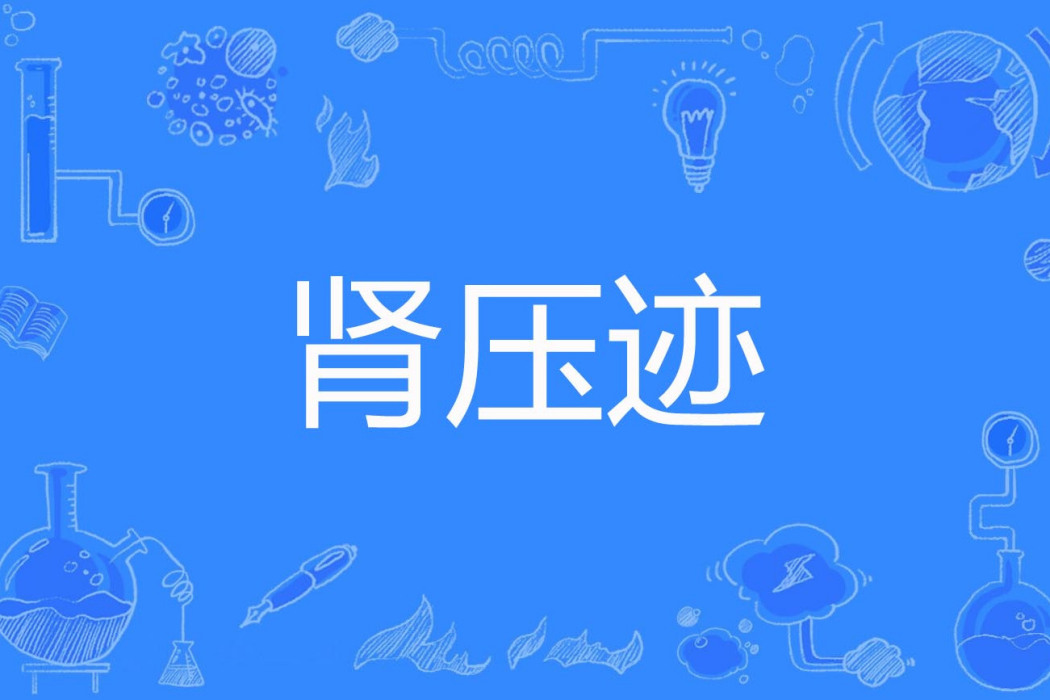 腎壓跡 腎壓跡