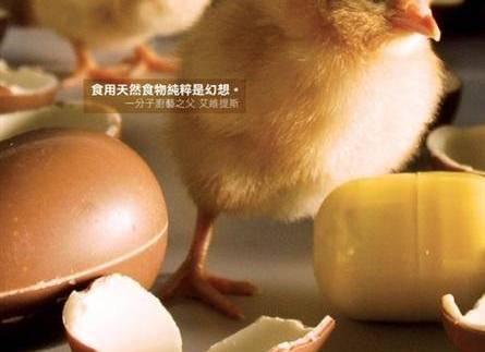 食物美學 食物美學