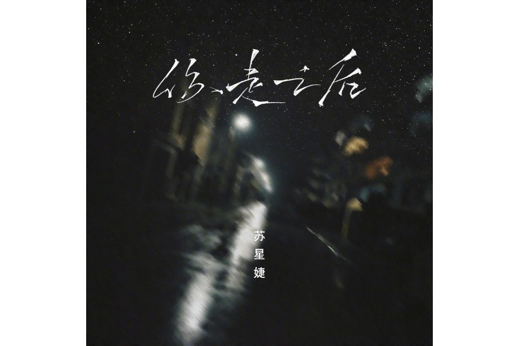 你走之後(蘇星婕演唱歌曲) 你走之後(蘇星婕演唱歌曲)
