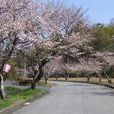 米子市