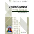 公司戰略與風險管理(2011年經濟科學出版社出版圖書)