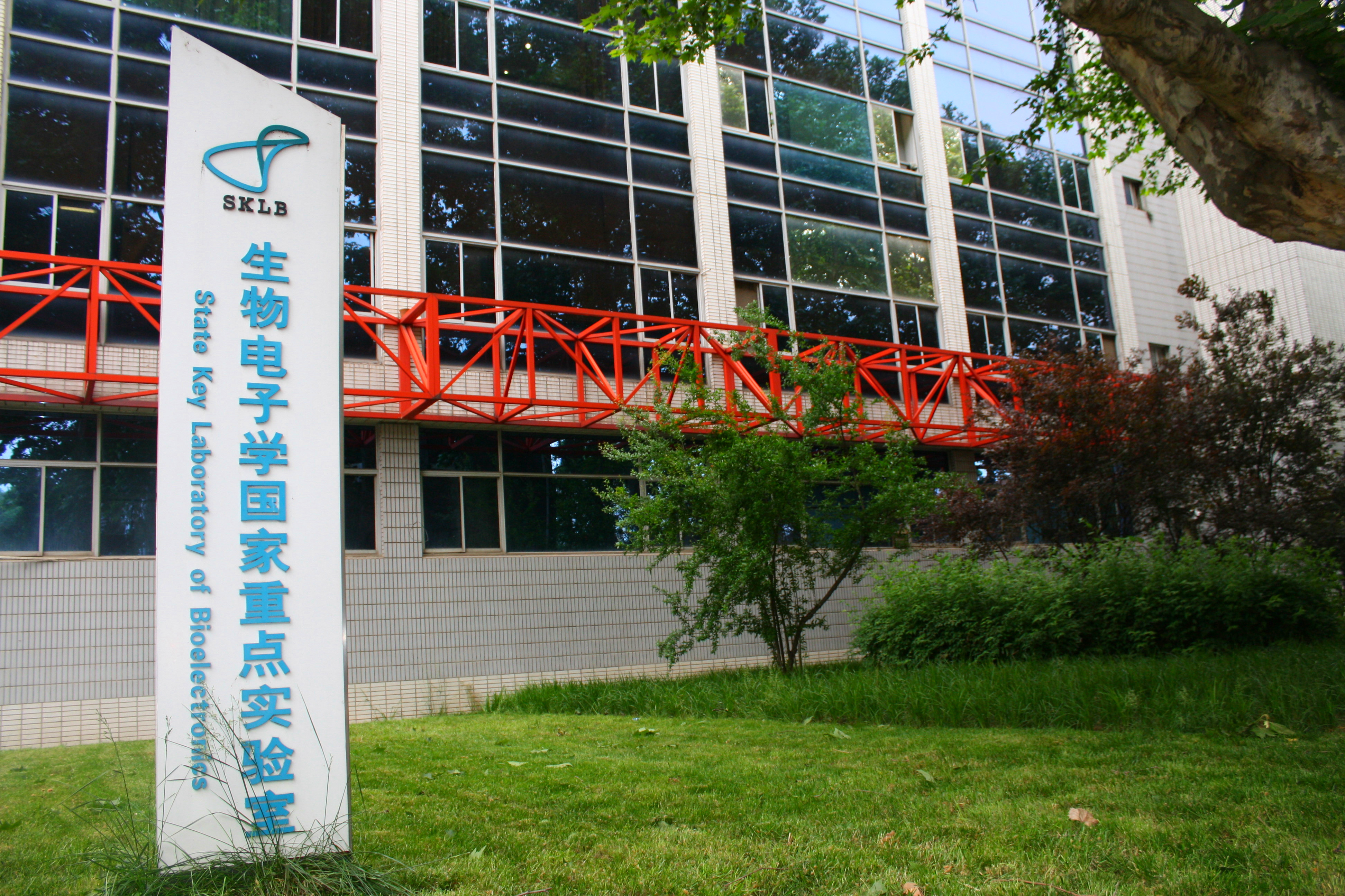 生物電子學國家重點實驗室（東南大學）(東南大學生物電子學國家重點實驗室)