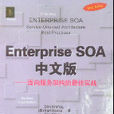 ENTERPRISE SOA中文版--面向服務架構的最佳實戰