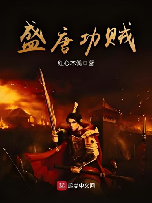 盛唐功賊 盛唐功賊