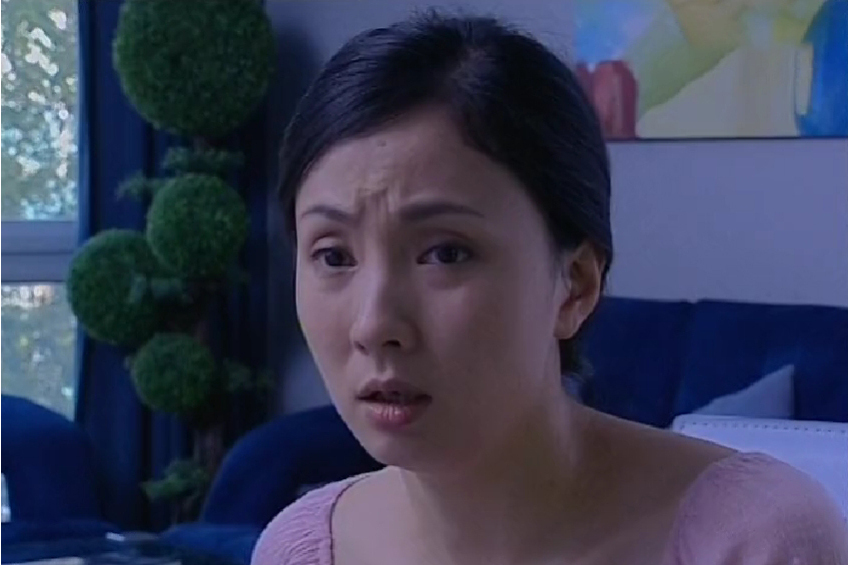 馬曉慧(陶虹飾演的都市劇《保姆》角色) 馬曉慧(陶虹飾演的都市劇《保姆》角色)