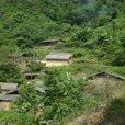 石板寨村(雲南紅河州金平縣勐橋鄉下轄村) 石板寨村(雲南紅河州金平縣勐橋鄉下轄村)